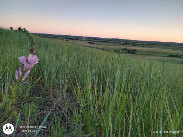 Tbd Whiteman Ln, Indian Valley, ID 83632