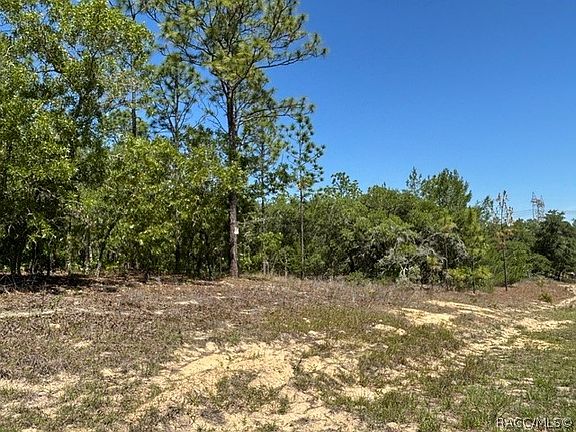5th image of 2888 W Lambert Dr