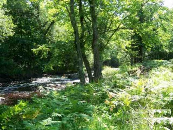 Land Along Shoreline