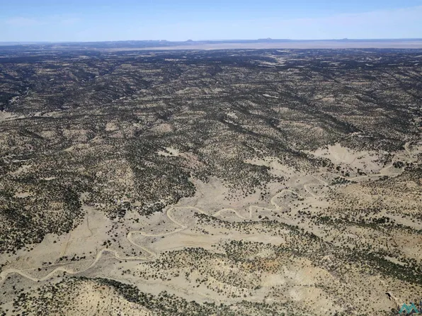 1-0000 Four Herrington Canyon Rd, Pie Town, NM 87827