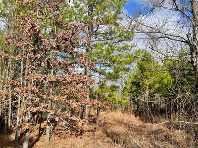 LOT 80 Red Oak Ln LOT 80, Mena, AR, 71953