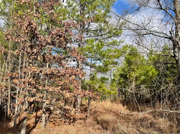 LOT 80 Red Oak Ln Lot 80, Mena, AR 71953