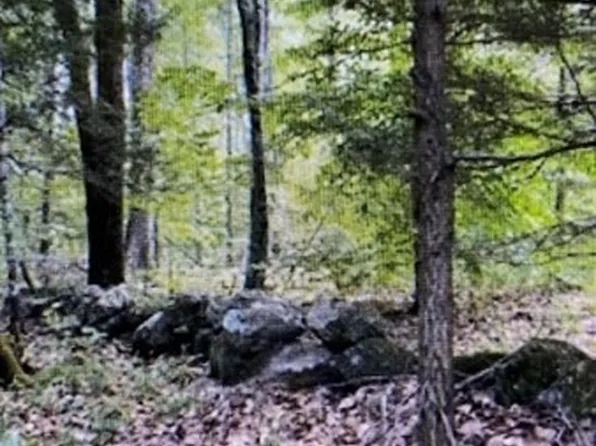 408 408/77 Three New Athol Rd, Petersham, MA 01366