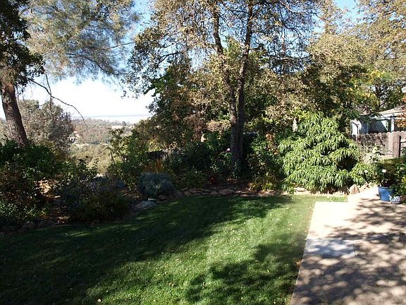 Backyard view