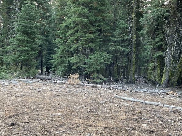 0 Bridle Rd LOT 9, Alturas, CA 96101