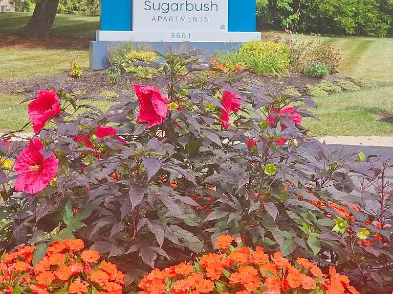 Sugarbush Apartments — Photo 40