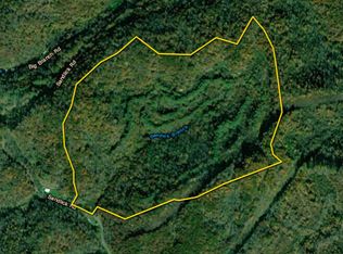 0 Sandlick Rd, Saint Charles, VA 24282