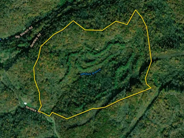 0 Sandlick Rd, Saint Charles, VA 24282