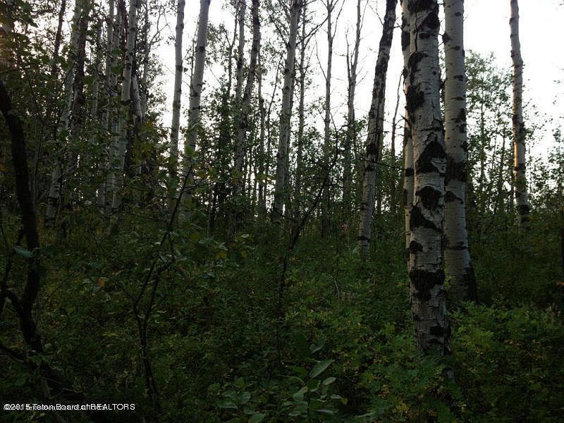 2nd image of 11661 Rammell Mtn