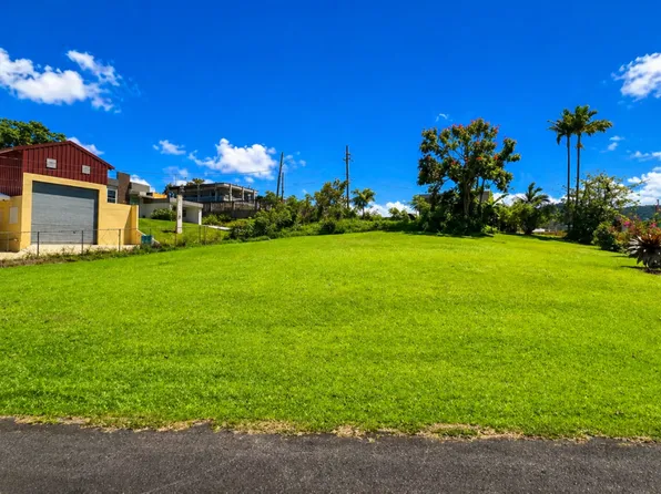 Bo Jaguas Carr 941 Km #6.0, Gurabo, PR 00778