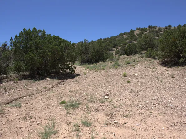 Tres Amigos Rd, Placitas, NM 87043