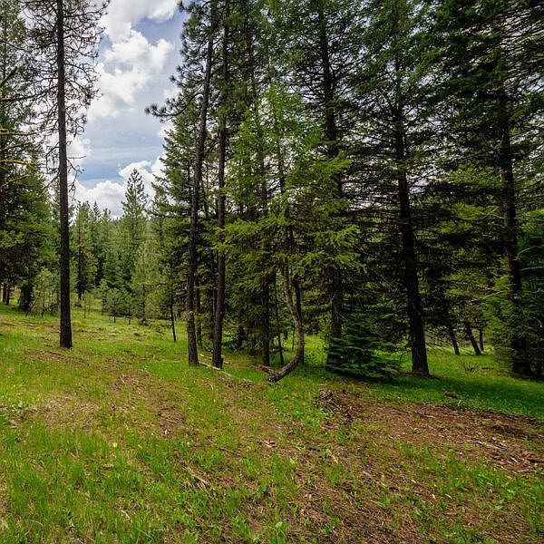 2nd image of 21 To Be Determined