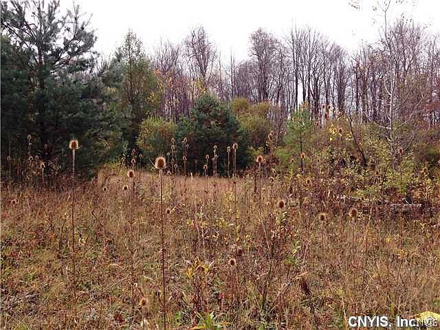 1st image of 0 Nys Rte #28