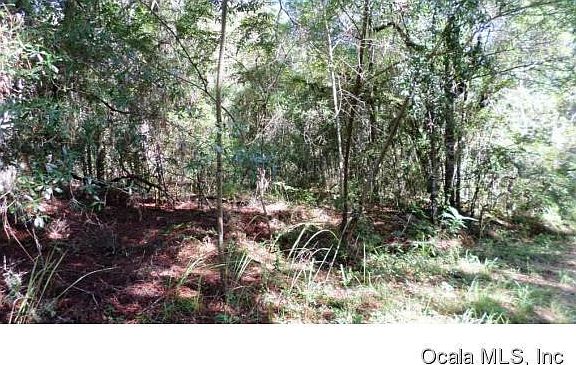 2nd image of 10278 N Wise Owl Point