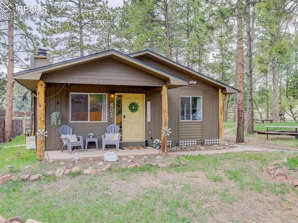 601 Dallas Aly, Woodland Park, CO 80863