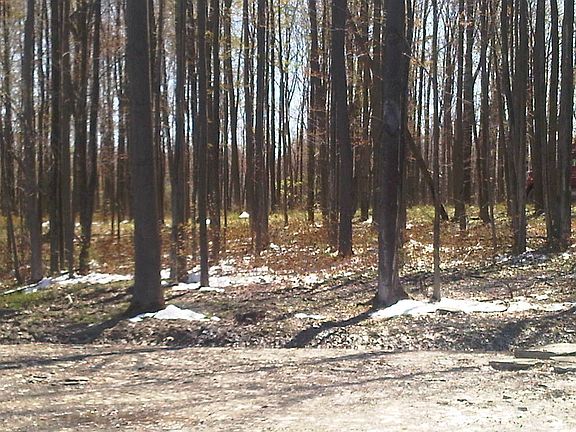 4th image of Lot 6 Deerwood Drive