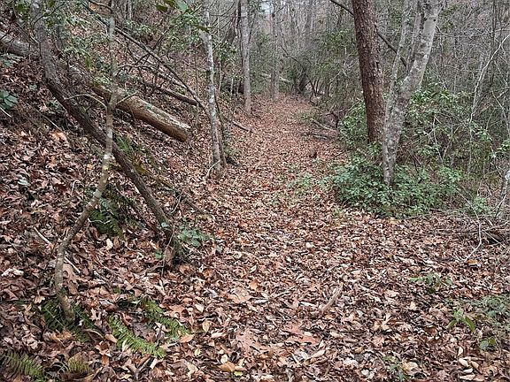 5th image of 0 Shady Bark Ln #40