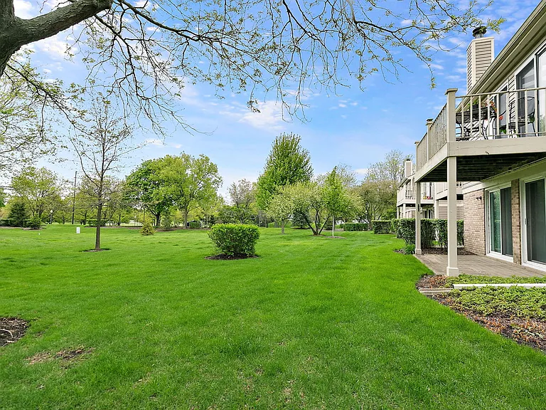 Open green area in back