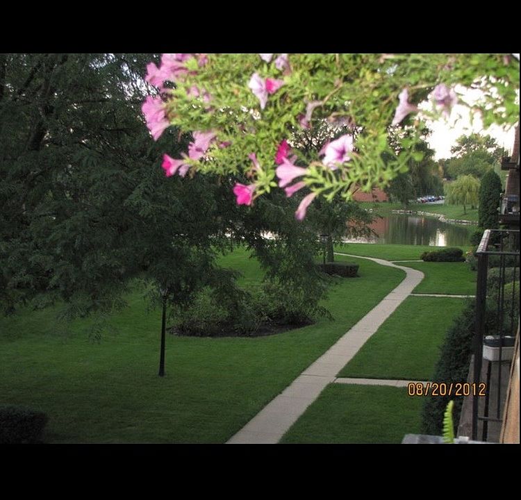 1st image of 9409 Bay Colony Dr APT 3E