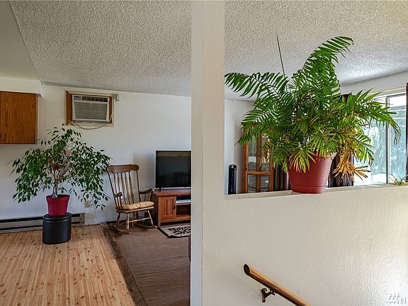 3rd image of 125 White Birch Pl