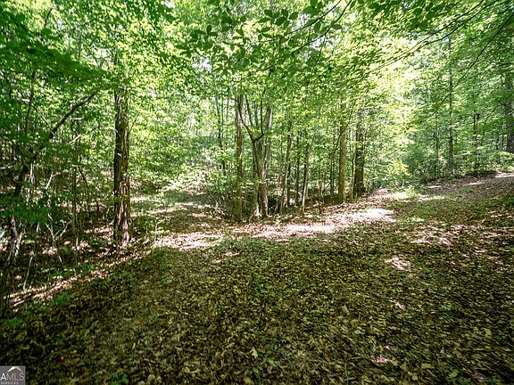 4th image of 0 Wagers Mill Rd 20+/- Acres