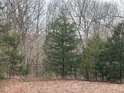 Owasso Ln, Cherokee village, AR, 72529