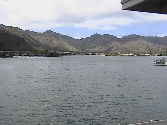 Back yard ON THE WATERFRONT