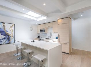 725 E Durant Ave #18, Aspen, CO 81611