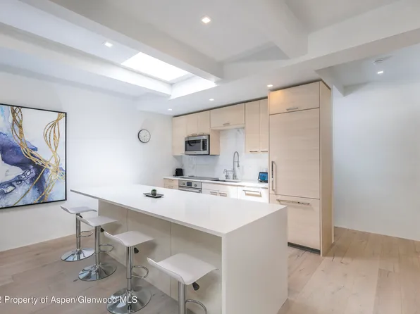 725 E Durant Ave #18, Aspen, CO 81611