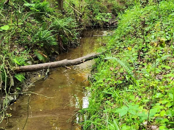 8.5 Ac Park Ave, Clarksville, VA 23927