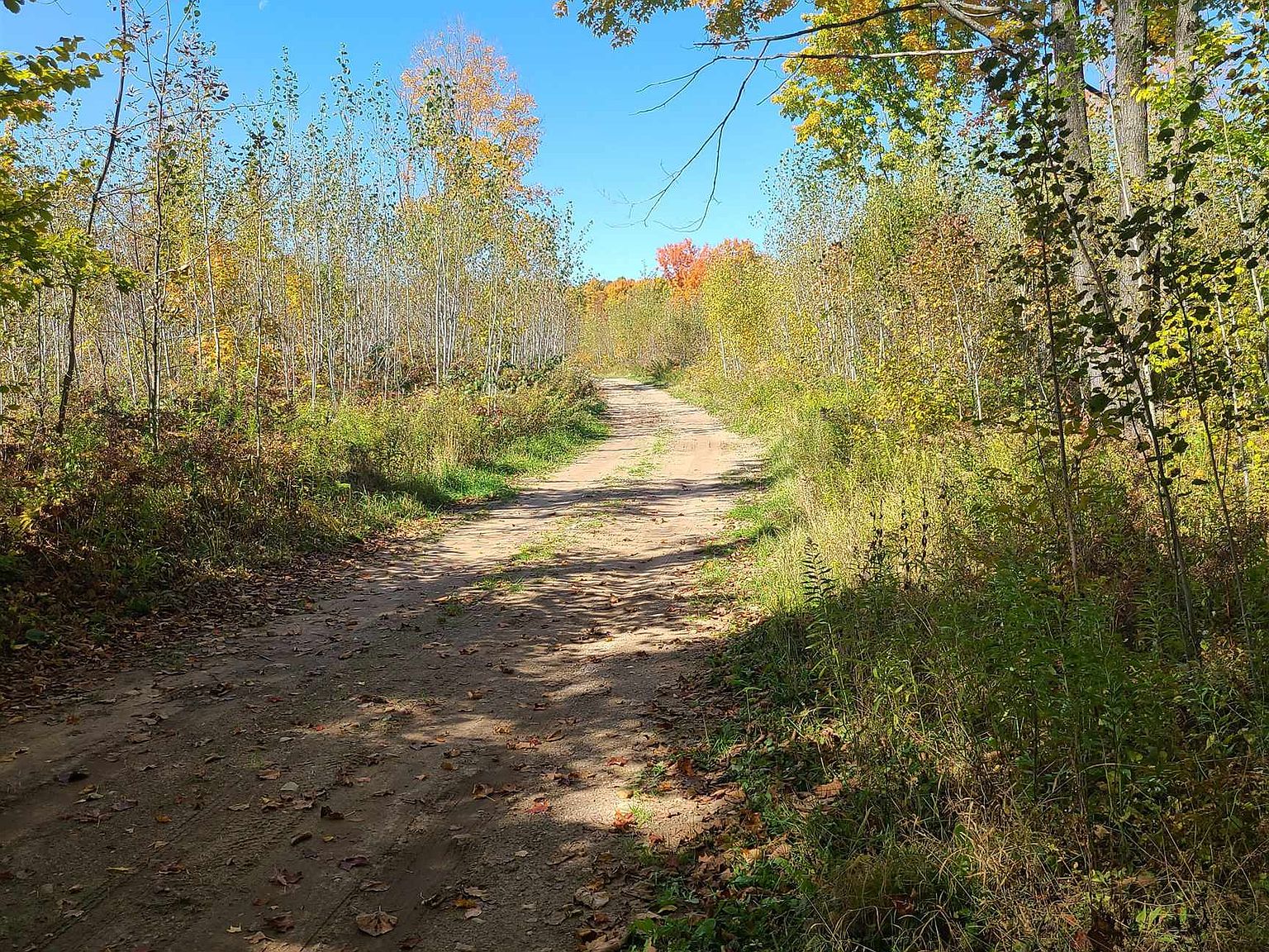 County Highway C, Athelstane, WI 54104 Zillow