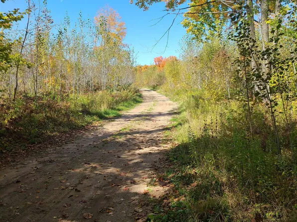 County Highway C, Athelstane, WI 54104