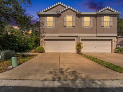 6220 Duck Key Ct, Tampa, FL, 33625