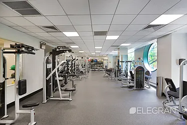 Sold by (Legacy) Elegran