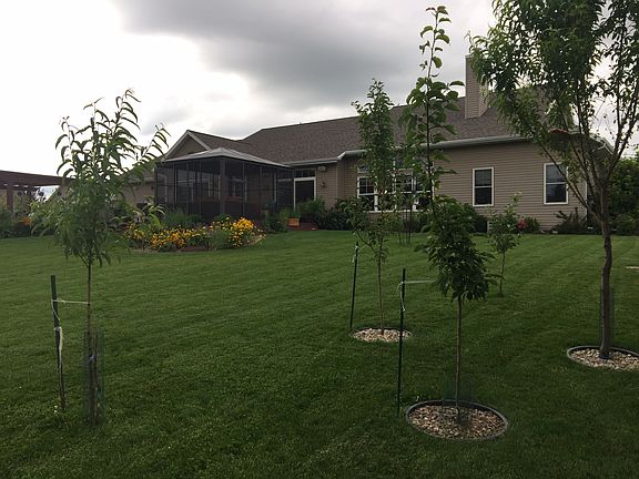 4th image of 1903 Mimosa Ln