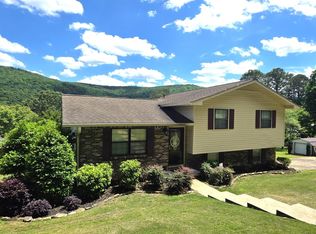 3911 Plains Ave SW, Fort payne, AL 35967