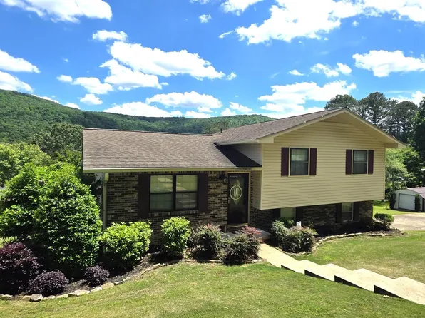 3911 Plains Ave SW, Fort Payne, AL 35967