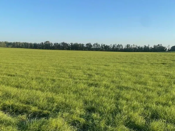 LOT 2 NW 72nd Pl, Bell, FL 32619
