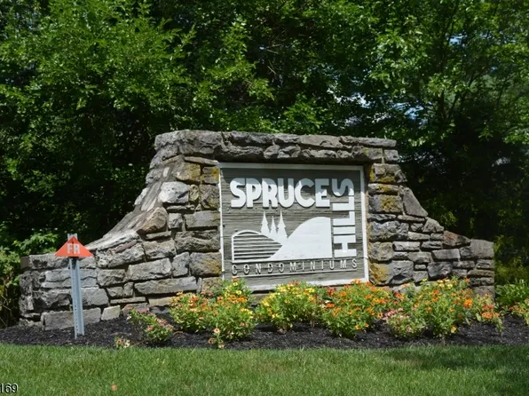 1306 Spruce Hills Dr, Glen Gardner Boro, NJ 08826