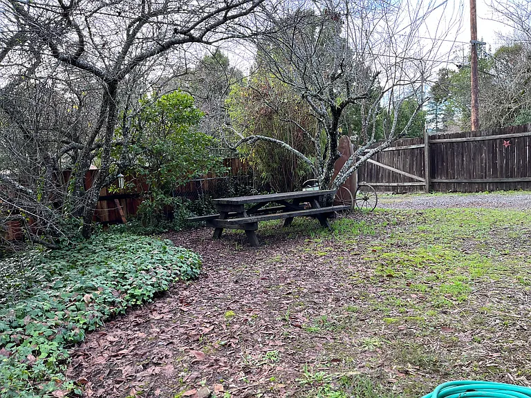 974 Orchard Ln — Photo 8