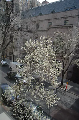 Rented by Anita Loewy, Inc | media 36