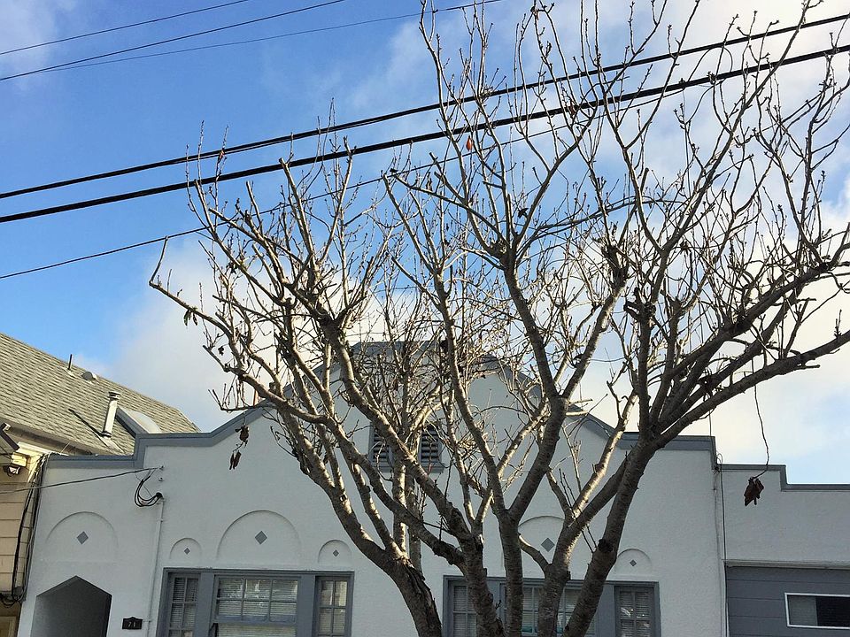 1st image of 71 Harper St