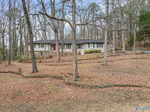 2806 Burningtree Mountain Rd SE, Decatur, AL 35603