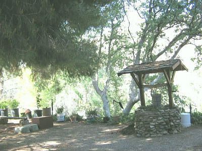 Park-Like Setting