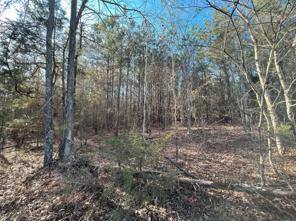 0 Highway 57 #4, Pocahontas, TN 38061