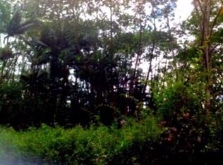 Puna Rd LOT 367, Pahoa, HI 96778