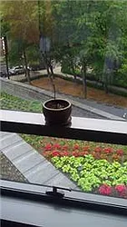 Rented by RELO REDAC INC.