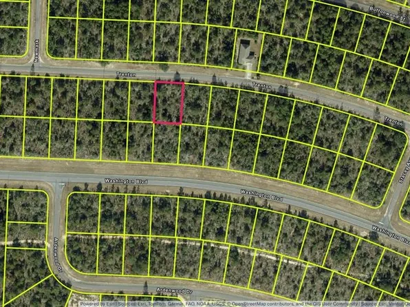Lot 9, Unit 7, Blk 458 TRENTON STREET LOT 6, CHIPLEY, FL 32428