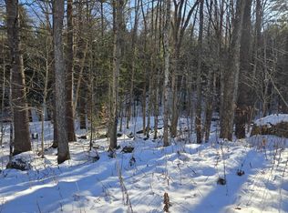 55 Lakeview Hts, Bristol, NH 03222