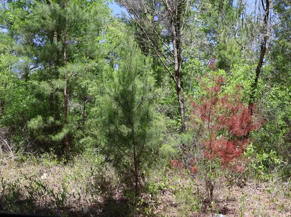 SW 157th Ln, Dunnellon, FL 34432